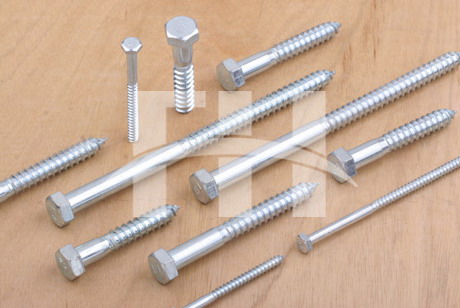 DIN571/hex head lag screw/coach screw