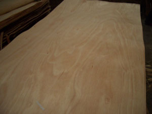 wood veneer