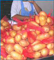 potato net bag