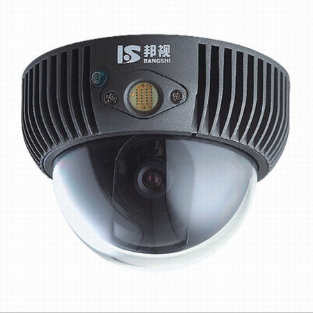 LED Array IR Dome Camera (BS-3100CP) 