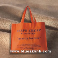 Non-Woven Shopping Bag