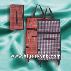 Shopping Trolley Bag