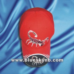 Embroidered sport cap