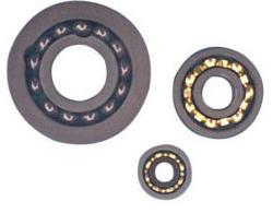 Stainless Steel Bearing