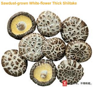 Flower shiitake