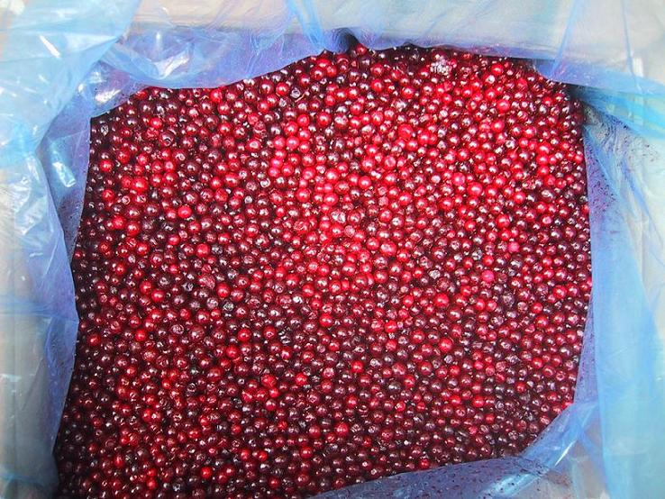 Frozen lingonberries