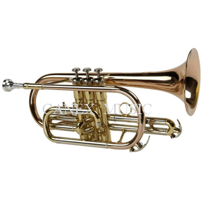 Cornet