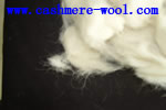 wool waste,carpet grade raw wool,scoured wool wast