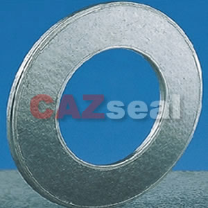 Reinforced Graphite Gasket