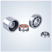 Stainless Steel Non-Standard Bearing