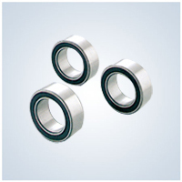 Automotive Air-Condition Compressor Bearing