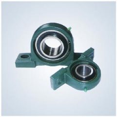 Pillow Block With Bearing