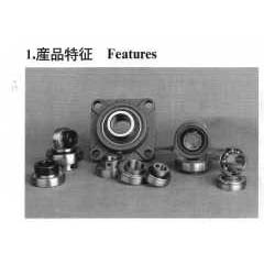 Pillow Block Bearing Unit