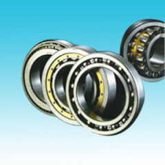 Integrated Deep Groove Ball Bearing