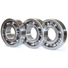 Stainless Steel Bearing