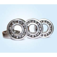 Stainless Deep Groove Ball Bearing