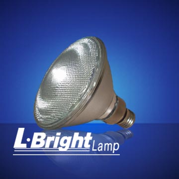 LED PAR38 bulb