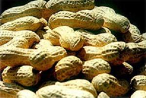 Peanuts in shell