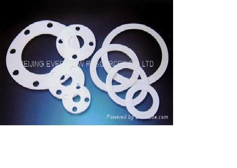 PTFE gasket / washer