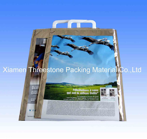 Cooler Bag,Pharmacal Bag,Thermic Bag 