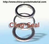 Spiral Wound Exhaust Pipe Gasket 