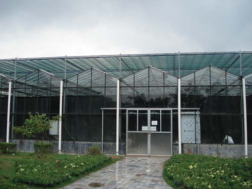 glass greenhouse