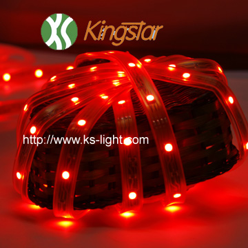 SMD 3528 LED strip light