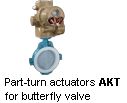 Electric Part-turn actuator