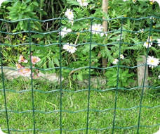 euro fence garden fence welded wire mesh