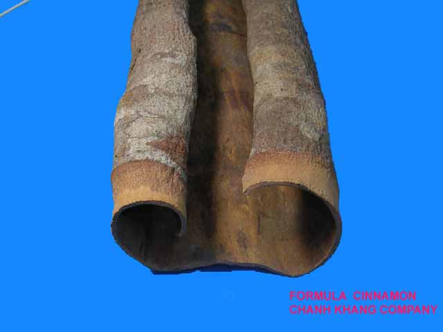 Round cinnamon cassia