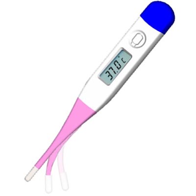 Digital Thermometer