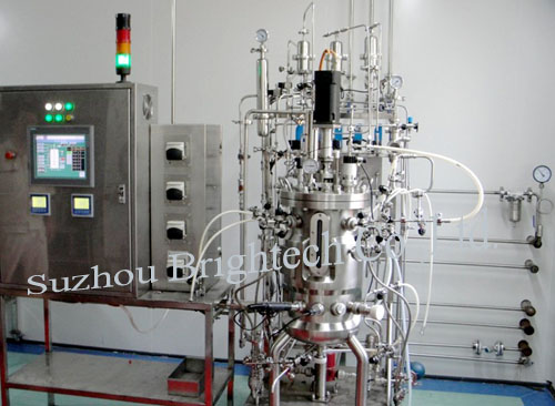 Pilot Bioreactors and Fermentors 