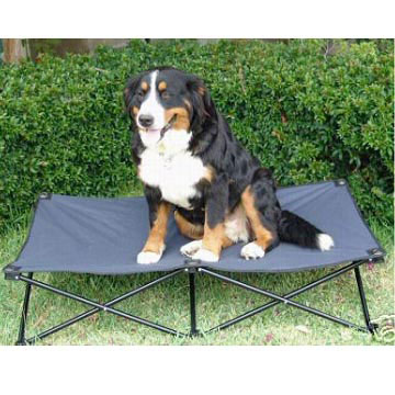 Folding Dog bed