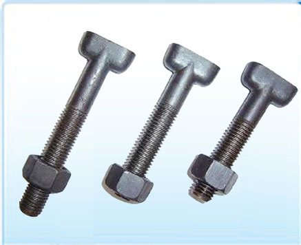 T Bolt, T Head Bolt, Square Head Bolt