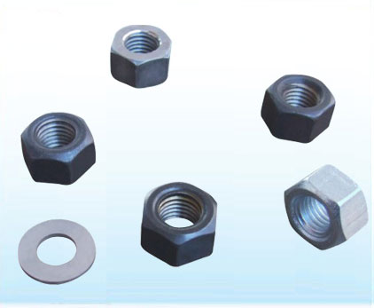 Nuts, Hexagon Nuts, Hex Nuts