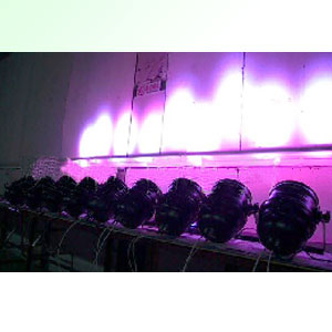 LED Wash Light