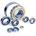 China cylindrical roller thrust bearings sale in Palestine 