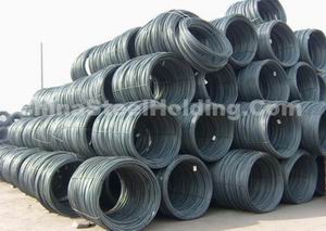 Wire rod