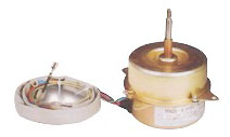 Resin-packing motor