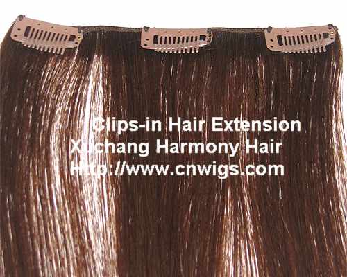 Clips on hair extension