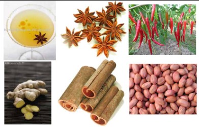 latest 2011 spice ,star anise,star anise oil