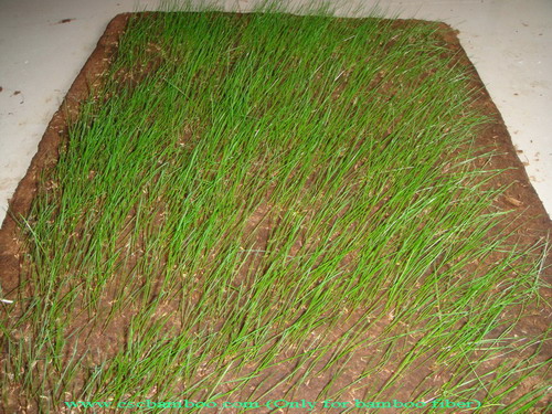 bamboo fiber ecomatmaterial