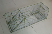 cage trap