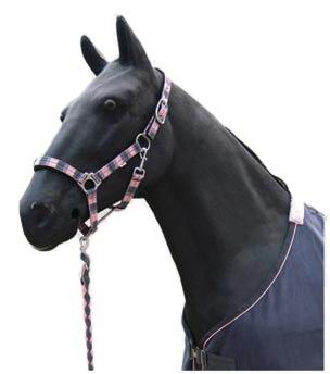 halter,horse halter,bridle,headstall,KUD801