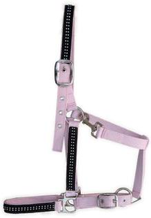 halter,horse halter,bridle,headstall,KUD30D47