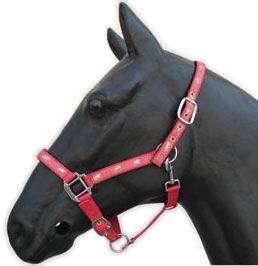 halter,horse halter,bridle,headstall,KUD30D16