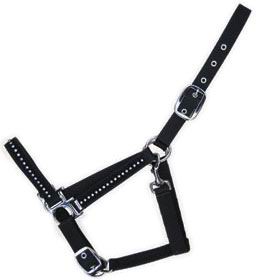 halter,horse halter,bridle,headstall,KUD30D42