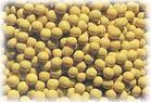 Soybean isoflavones P.E.