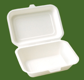 pulp moulded food container - 600ml lunch box