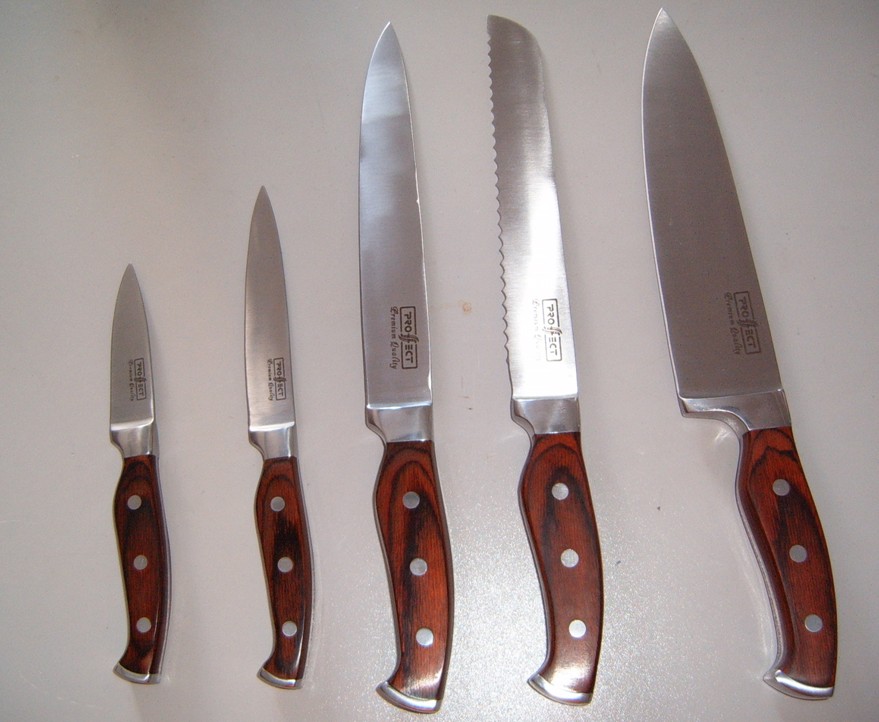 5pcs stainless steel knives with wooden handle